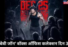 ‘बेबी जॉन’ बॉक्स ऑफिस कलेक्शन दिन 3: वरुण धवन की फिल्म 20 करोड़ के करीब, शुक्रवार को कमाई 3.65 करोड़ रुपये तक गिरी